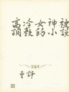 高冷女神被吊起调教的小说