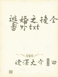 逃婚之后全文加番外txt