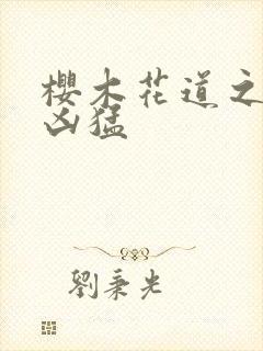 樱木花道之重生凶猛