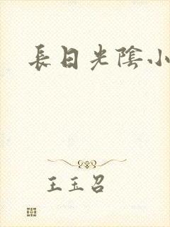 长日光阴小说