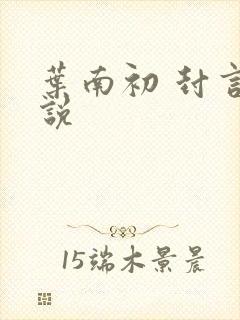 叶南初 封言小说