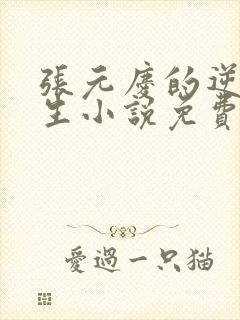 张元庆的逆袭人生小说免费阅读