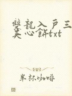 双龙入户三人行夹心饼txt