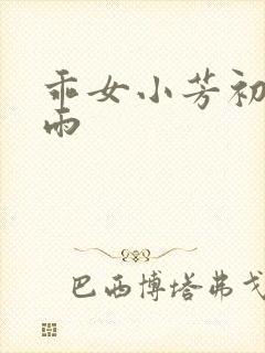 乖女小芳初尝云雨封面