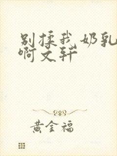 别揉我奶乳嗯～啊文轩封面