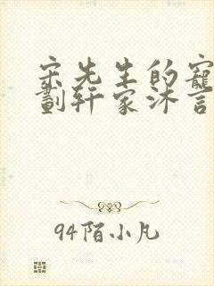 宋先生的宠妻计划轩家沐言