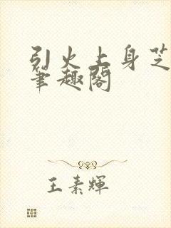 引火上身芝麻糖笔趣阁