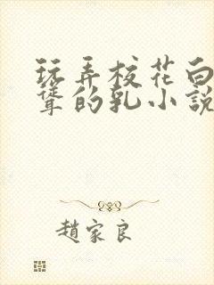 玩弄校花白嫩高耸的乳小说