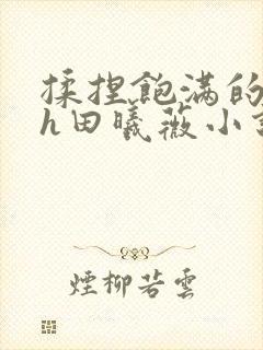 揉捏饱满的双乳h田曦薇小说封面