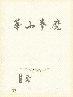 华山拳魔封面