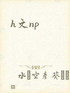 h文np封面