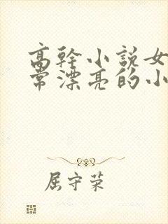高干小说女主非常漂亮的小说封面