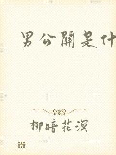 男公关是什么封面