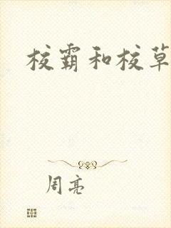 校霸和校草封面