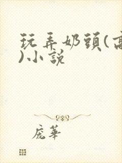 玩弄奶头(高h)小说