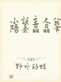 小说主人公叶正阳秦晶晶笔趣阁免费阅读