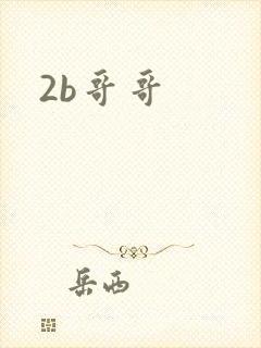 2b哥哥封面