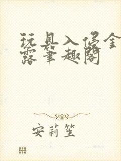 玩具入侵金银花露笔趣阁