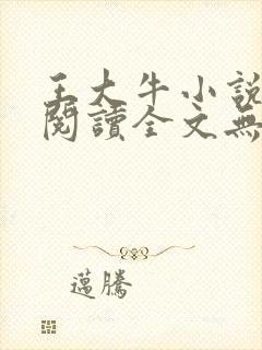 王大牛小说免费阅读全文无弹窗封面