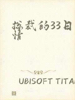 总裁的33日索情