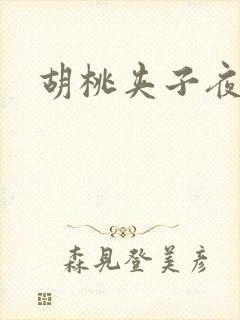 胡桃夹子夜未眠