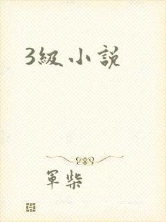3级小说封面
