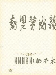 大团结小说笔趣阁免费阅读