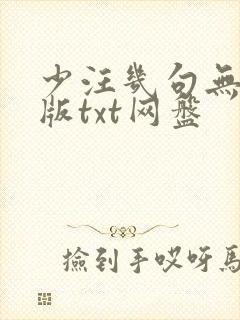 少汪几句无删减版txt网盘