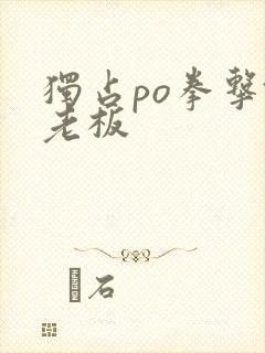 独占po拳击馆老板