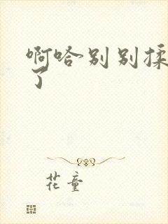 啊哈别别揉那处了