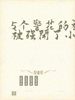 5个警花的初苞被强开了小说封面