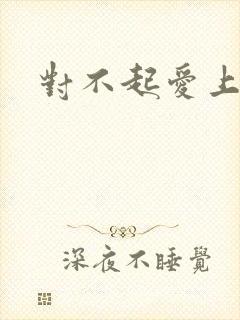 对不起爱上你封面