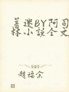 着迷BY阿司匹林小说全文免费阅读