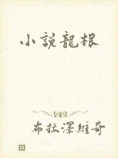 小说龙根封面