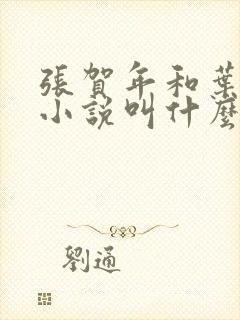 张贺年和叶繁姿小说叫什么名字