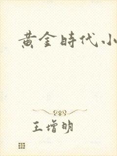 黄金时代小说
