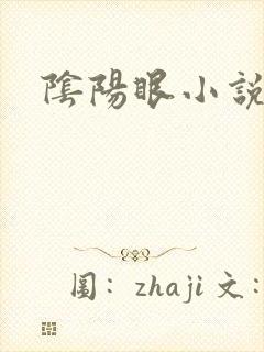 阴阳眼小说