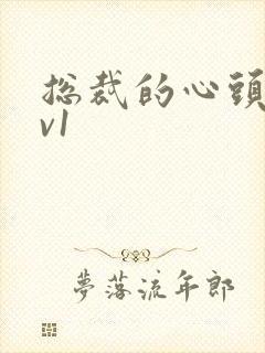 总裁的心头宝1v1