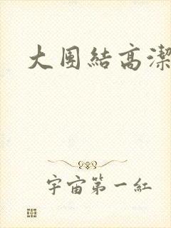 大团结高洁封面