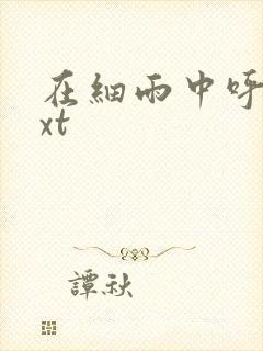 在细雨中呼喊txt封面