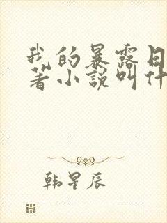 我的暴露日记原著小说叫什么