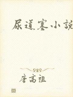 尿道塞小说封面