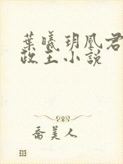 叶曦玥凰君夜摄政王小说