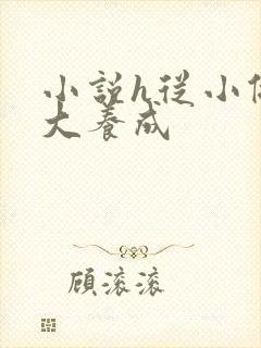 小说h从小做到大养成封面