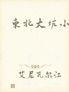 东北大坑小说封面