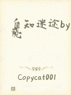 自知迷途by二飞封面