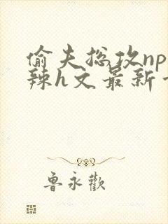 偷夫总攻np高辣h文最新章节内容