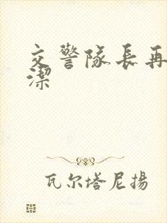 交警队长再遇白洁