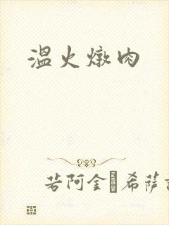 温火炖肉