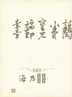 幸福宝小说最新章节免费阅读封面